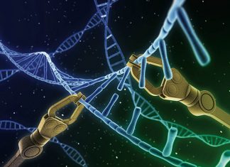 Badania po poronieniu – jakie są najważniejsze?