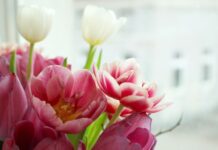 tulipany silikonowe