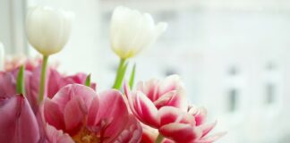 tulipany silikonowe