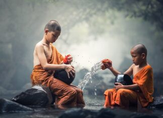 Ile kosztuje czyszczenie kostki brukowej?