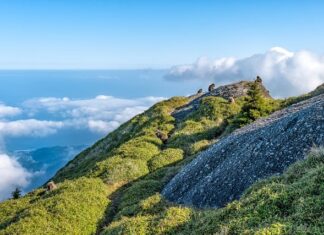 Jaka jest różnica między impregnatem a Lakierobejcą?
