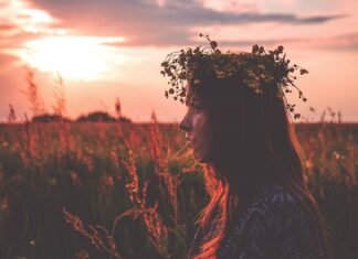 Jak zrobić stroik na cmentarz na święta Bożego Narodzenia? Jak zrobić stroik na cmentarz na święta Bożego Narodzenia?