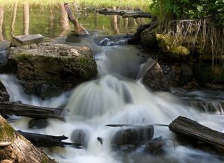 Jakiej szerokości lamele?