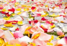 Co oznacza 12 róż? Co oznacza 12 róż?