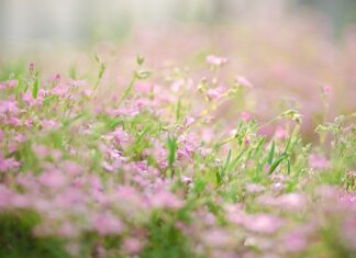 Jak zrobić kwietnik z opony instrukcja? Jak zrobić kwietnik z opony instrukcja?