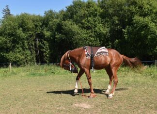 Jak zamontować coś bez wiercenia?
