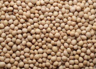 Czy świecą sojowa musi mieć kartę charakterystyki?