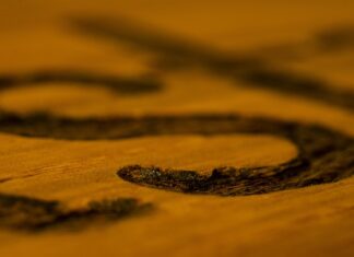 Co lepsze bejca czy lakier?