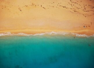 Co położyć pod panele żeby było ciepło?