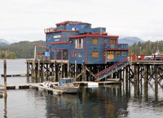 Ile Polacy wydają na Wszystkich Świętych?