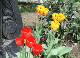 Co zamiast cokołu z płytek? Co zamiast cokołu z płytek?