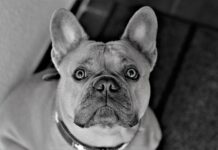 Co powiesić na ścianie w korytarzu? Co powiesić na ścianie w korytarzu?