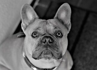 Co powiesić na ścianie w korytarzu? Co powiesić na ścianie w korytarzu?