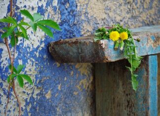 Jak naprawić porysowane lustro od tyłu?