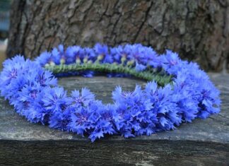 Jak zrobić wianek krok po kroku?