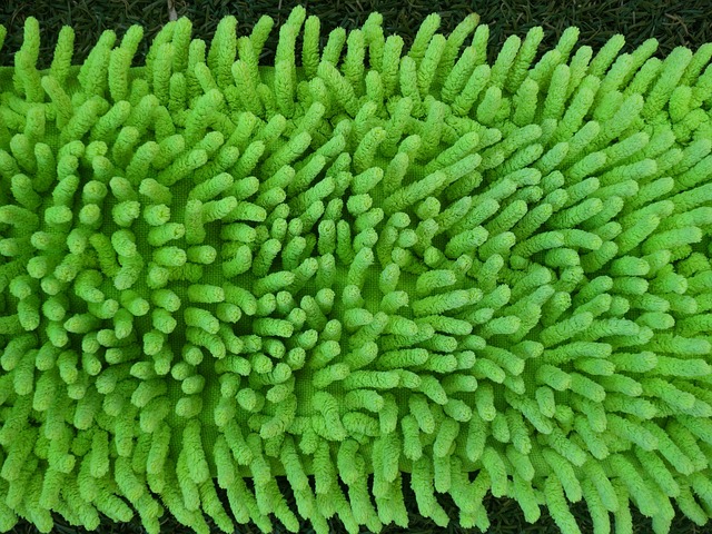 Czy przed użyciem mopa parowego trzeba odkurzać? Czy przed użyciem mopa parowego trzeba odkurzać?