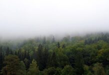 Jak zasłonić lustro? Jak zasłonić lustro?