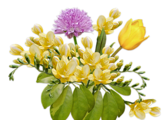 Jakie wiązanki na 1 listopada?