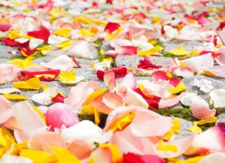 Ile kupuje się róż? Ile kupuje się róż?