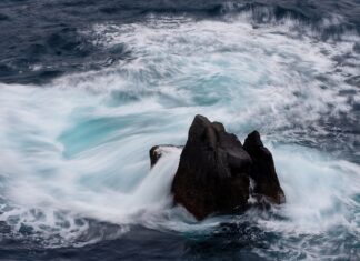 Jakie są ceny zniczy?