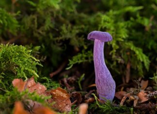 Co to jest lejek marketingowy?