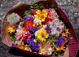 Jaki kolor do przedpokoju wg feng shui?