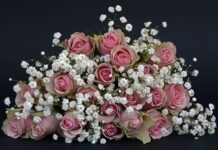 Jakich kwiatów nie łączyć w wazonie? Jakich kwiatów nie łączyć w wazonie?