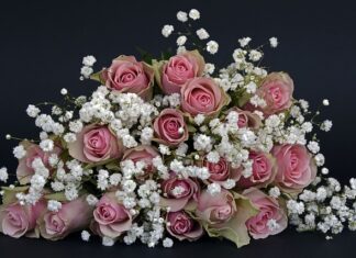 Jakich kwiatów nie łączyć w wazonie? Jakich kwiatów nie łączyć w wazonie?