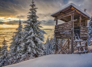 Jaka latarka dla myśliwego? Jaka latarka dla myśliwego?