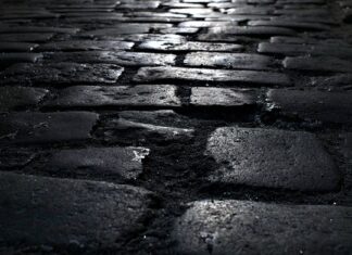 Jakie podłoże do lasu w szkle?