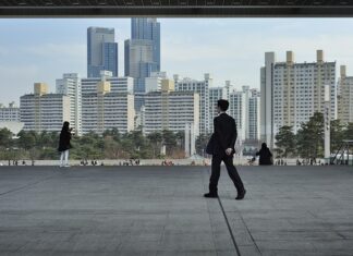 Jak założyć las? Jak założyć las?