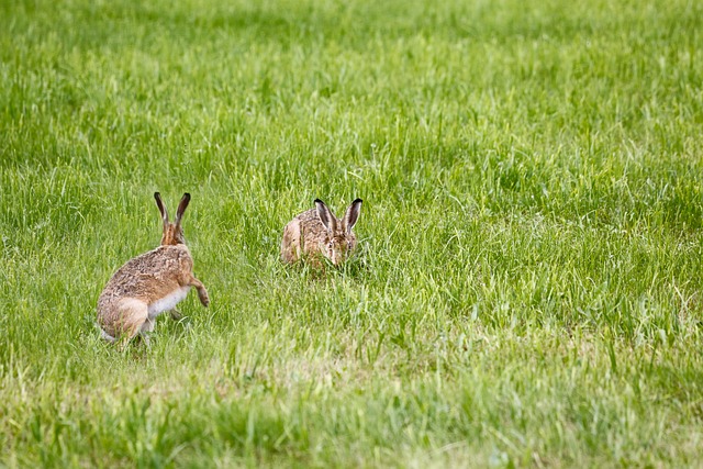 Jaka lampę solarną kupić forum? Jaka lampę solarną kupić forum?
