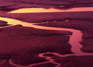 Co to jest liczba przewodnia lampy błyskowej?