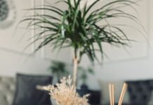 aroma marketing