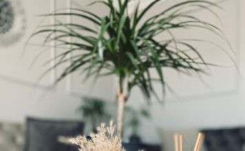 Niewidzialny magnes na klientów. Jak dobrać zapach do lokalu, aby zwiększyć sprzedaż i zbudować markę premium? aroma marketing
